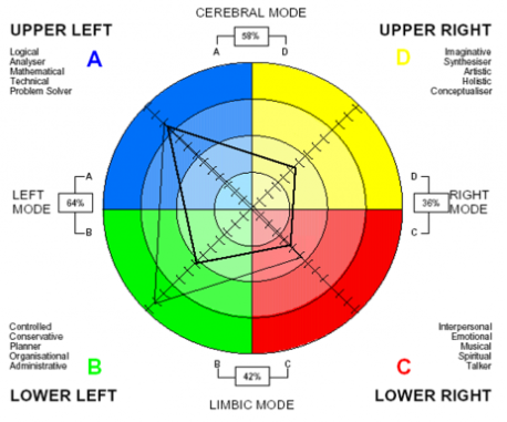 Herrmann whole brain thinking chart